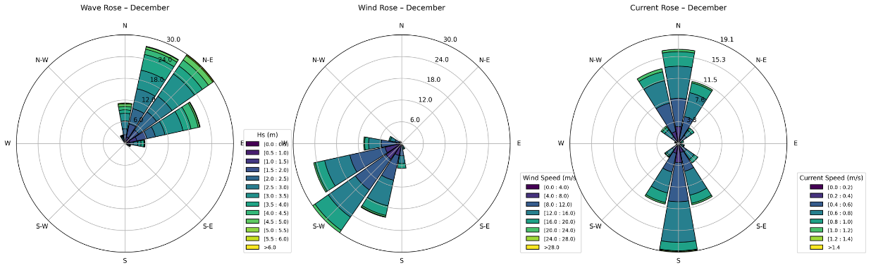 December wave, wind, and current rose charts for the Buchan offshore wind study